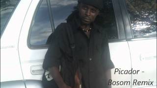 Picador  Bosom Remix Liberian Music [upl. by Lundquist650]