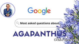 David Domoney Answers The Top Agapanthus Questions [upl. by Millwater]