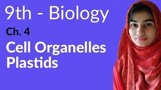 9th Class Biology  Cell Organelles Plastids  Matric Part 1 Biology [upl. by Elegna]