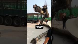 समुंद्र के अंदर से ये कोंसी केबल निकली है  Global Internet Cables internet shorts viralvideo [upl. by Atteuqnas]