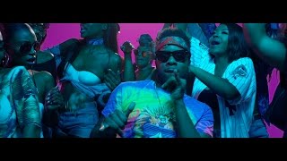 Maleek Berry  Eko Miami ft Geko Official Video [upl. by Staley852]