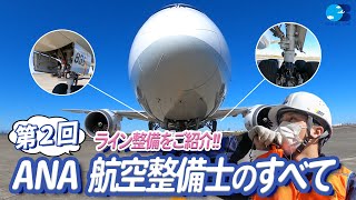 【ANA航空整備士のすべて】第二回：ライン整備ってどんな仕事？【空の安全を守る５つの業務！】 [upl. by Trask]