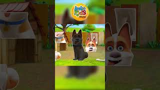 Laugh and Learn with LooLoo Kids   Creative Play for Your Brilliant Children Kids Entertainment [upl. by Miquela230]