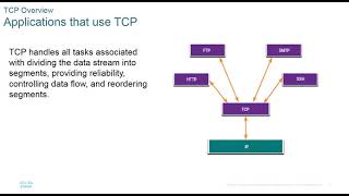 Module 14 Transport layer [upl. by Anitan444]