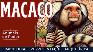 O macaco como animal de poder  representações arquetípicas e simbologia [upl. by Kra]