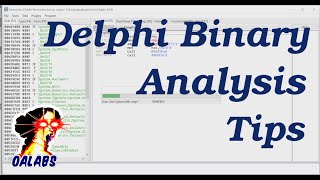 Tips For Analyzing Delphi Binaries in IDA Danabot [upl. by Auqinihs]