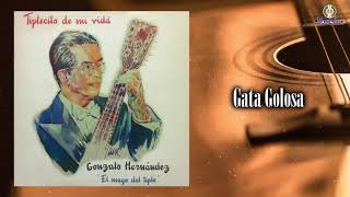 Gata Golosa – Gonzalo Hernández  Remasterizado  Instrumental [upl. by Aloise]