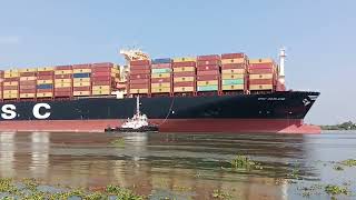 MSC DARLENE ENTERING DP WORLD COCHIN [upl. by Elinor505]