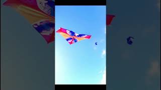 A Kite Soaring in the Wind – A colorful kite floating in the sky [upl. by Ylhsa950]