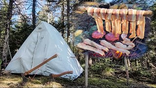 Hot Tent Camping at 4 Degrees  Chilly Spring Night in the Wilderness [upl. by Enyal88]