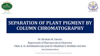 Separation of plant pigment by column chromatography [upl. by Luhem]