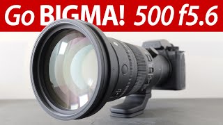 Sigma 500mm f56 DG DN REVIEW indepth [upl. by Akehsal]