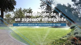 Instalación de un aspersor emergente  Aspectos básicos de una instalación de riego [upl. by Ancell]