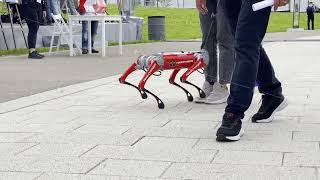 Robotic ant moving towards people on footpath during exhibition [upl. by Edrahs]