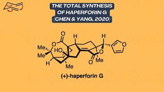 Synthesis Workshop Haperforin G Total Synthesis Episode 88 [upl. by Llien]