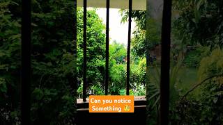 😱Natural beauty 😍😍 outside the window 🪟  calmdown music trending viralshort [upl. by Englebert]