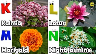 Flowers Alphabet Song  Flowers ABC Song  A to Z Flowers Names  Phonics for Kids [upl. by Ilocin182]