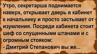 Про секретаршу и её шефа Сборник анекдотов [upl. by Vic]