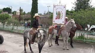 Cabalgata en honor a Santa Teresita del Niño Jesús y al Santo Apóstol Señor Santiago parte 4 [upl. by Adlesirhc]