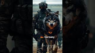 World Special Forces UK Japan Germany and many more Request your country in comments military [upl. by Ztnarf929]