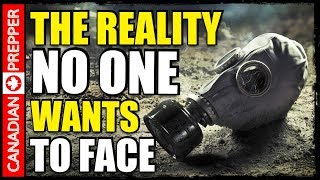 Why Society will Collapse FAST in SHTF The Pretty Vs the Gritty [upl. by Theall]