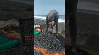 hard working man do stone washings  black sand beach  Bali [upl. by Melisenda83]