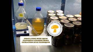 Inoculating with liquid cultures and utilizing media extraction techniques for mycology [upl. by Marcin659]