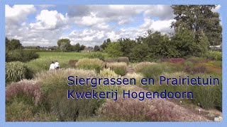 Siergrassen en Prairietuin Hogendoorn 0416  69 21 21 [upl. by Eissirk]