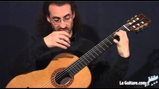 Fabien Ballon luthier  Modèle de concert cèdre par Rémi Jousselme [upl. by Ynafetse403]