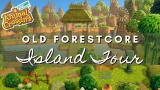 OLD FORESTCORE ISLAND TOUR USING 20 UPDATE ITEMS  Animal Crossing New Horizons [upl. by Eenehs]