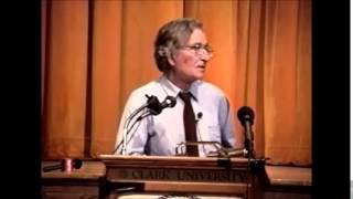 Noam Chomsky  The Soviet Union vs Socialism [upl. by Kantos673]