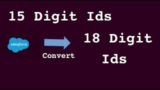 15 to 18 Digit Id Converter [upl. by Faxon]