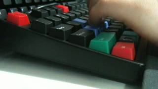 FILCO Majestouch 2 Tenkeyless Click Blue Switch [upl. by Margot395]