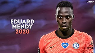 Edouard Mendy 2020  Welcome to Chelsea  Best Saves Show  HD [upl. by Oravla980]