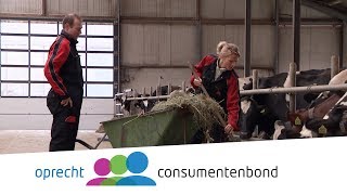 Hypotheek als melkkoe  KoopKracht Consumentenbond [upl. by Gradey]