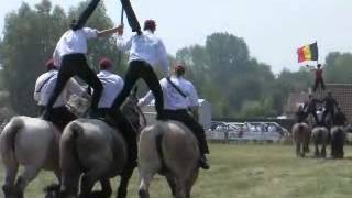 Trekpaarden festival Oostduinkerke [upl. by Cirillo]