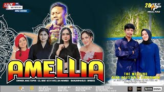 LIVE  NEW AMELLIA  JUMAT 28 JUNI 2024  DK NAMBO  BANJARHARJO  EDISI SIANG [upl. by Lahcym]