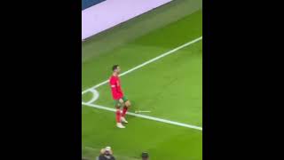 INSANE BICYCLEKICK FROM CRISTIANO RONALDO VS POLAND 🔥 cr7 cristianoronaldo cristiano [upl. by Giesecke]