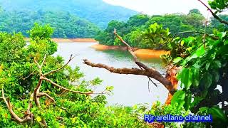 Natures vlog at kam Shan country park shatin hk [upl. by Nenad539]