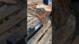 😱 Amazing wood splitting machine Extreme splitting🪓🪵 firewood logsplitter [upl. by Aldin]