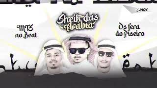 TIPO SHEIK DAS ARÁBIA MTS NO BEAT E FERAS DO PISEIRO ÁUDIO OFICIAL [upl. by Zara164]