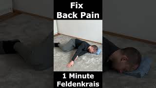 Fix Back Pain in 60 Seconds  1 Minute Feldenkrais [upl. by Dustman]