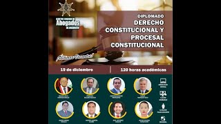 Precedentes vinculantes del Tribunal Constitucional  MODULO X [upl. by Eniamrahc]