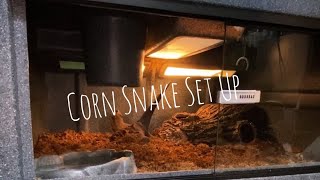 🐍 Setting Up My Corn Snake Enclosure 🧪 [upl. by Buschi]