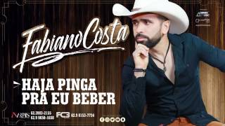 Fabiano Costa  Haja pinga pra eu beber [upl. by Julia]