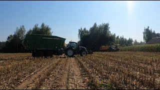 Kukurydza 2024 JD FENDT VALTRA CASE MF KUBOTA w akcji [upl. by Gnud]