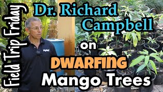 Field Trip Friday Dr Richard Campbell on Dwarfing Mango Trees [upl. by Blankenship]