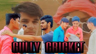 GULLY CRICKET  MR ACTOR PRESENT  Dinesh  Hariom  Dhanraj  Rakesh  Ramniwas [upl. by Anitel770]