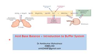 Introduction to Buffer System  Regulation of pH  Acid Base Balance  Buffers in Biochemistry [upl. by Igal]