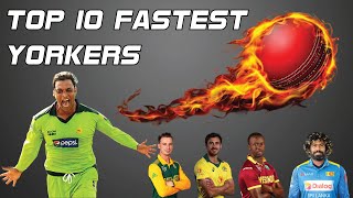 Top 10 Fastest Yorkers in Cricket History  Deadliest Yorkers  Toe Crushing Yorkers  Fire Yorkers [upl. by Tol884]